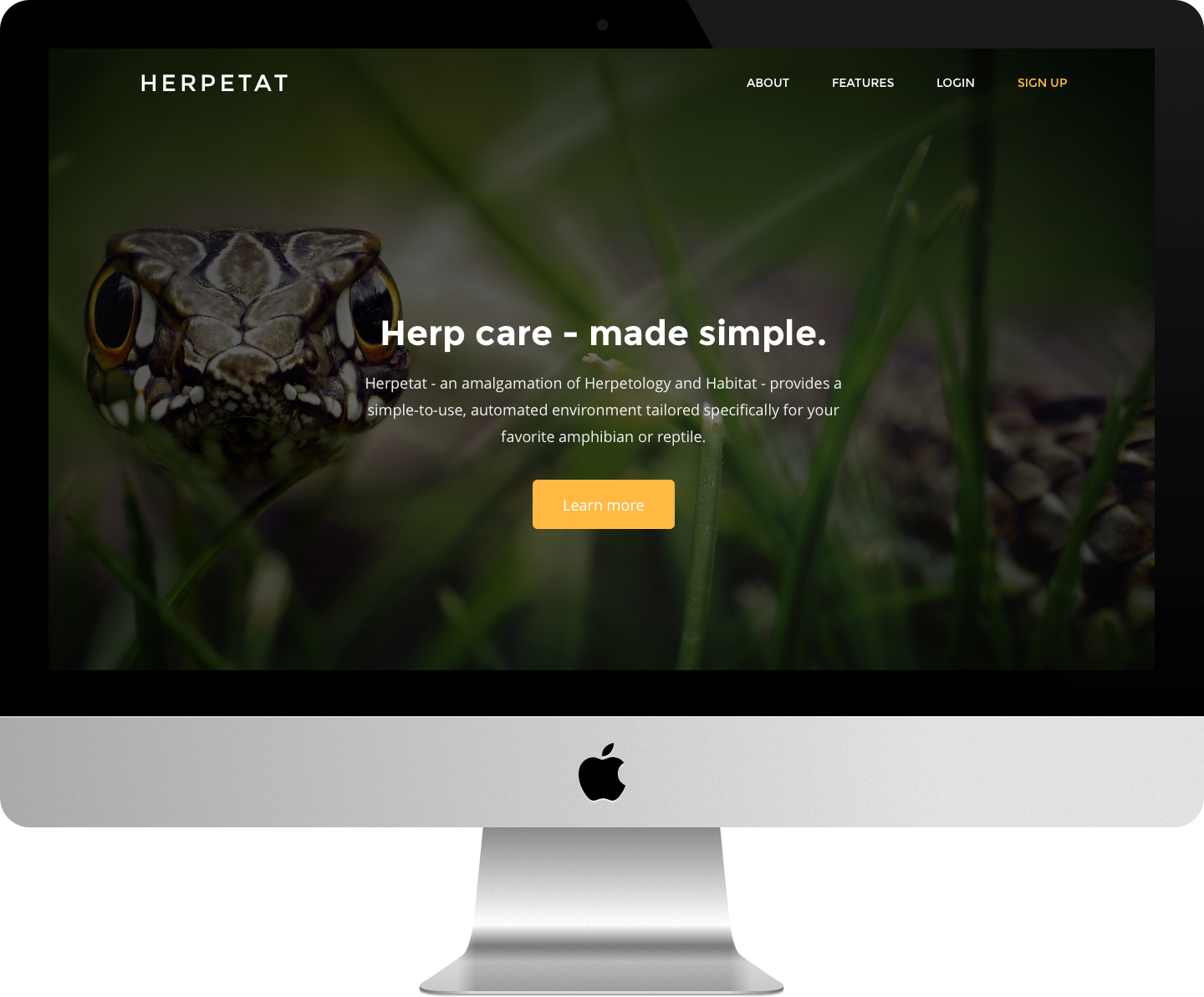 Herpetat Website on a Computer